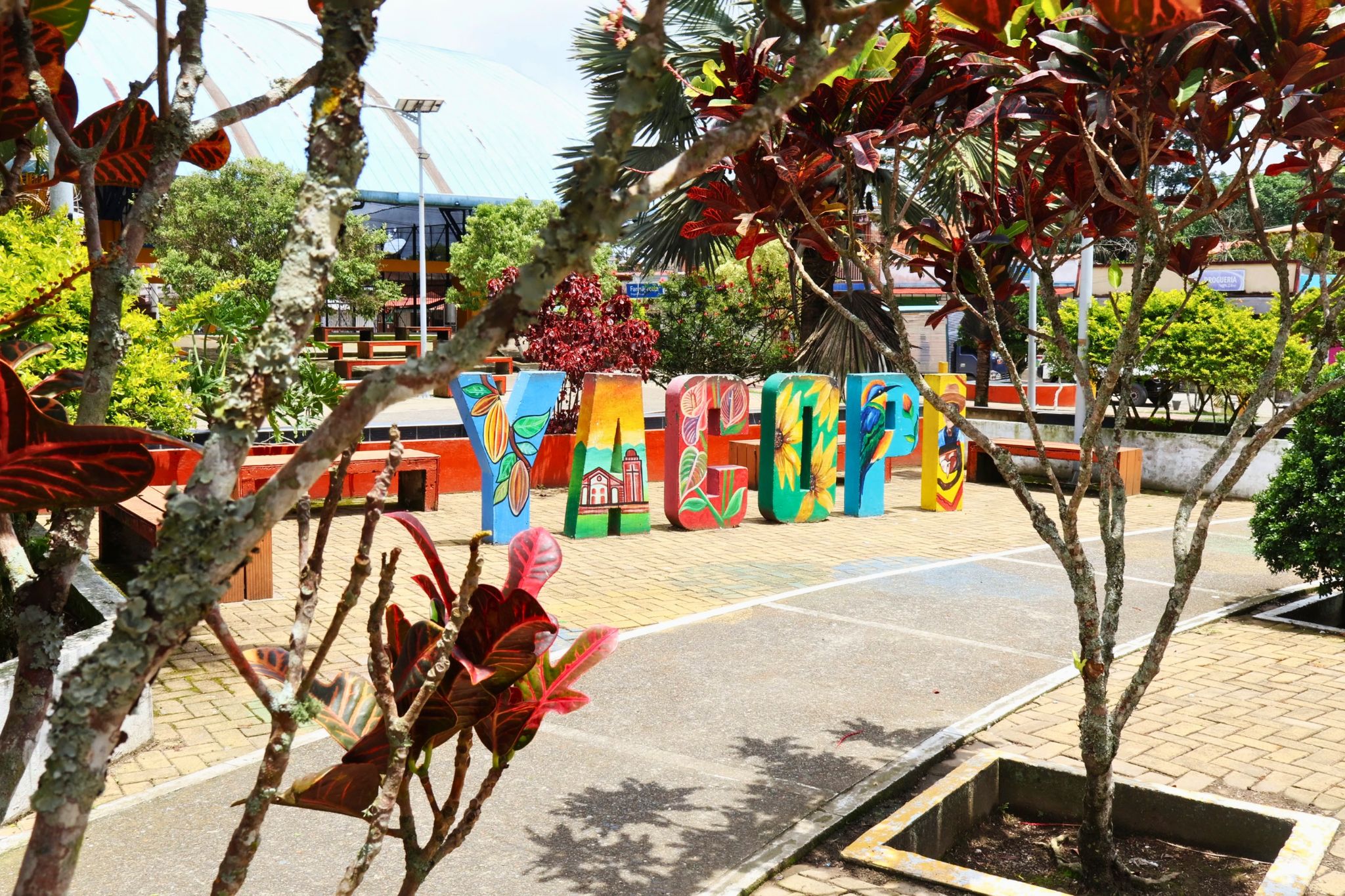 Diseño sin título (3)